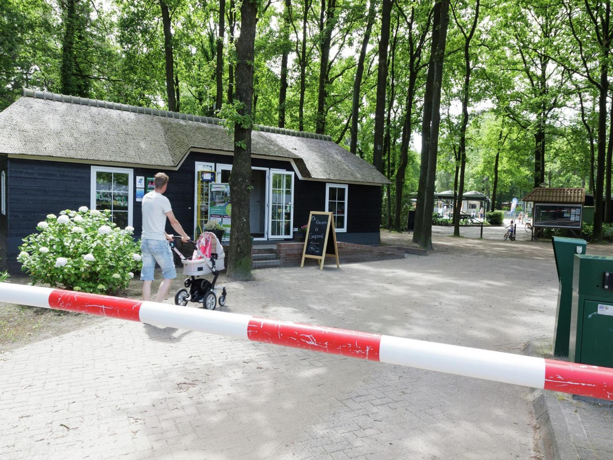 Hotel Chalet With Dishwasher, In Natural Environment IJhorst Exterior foto